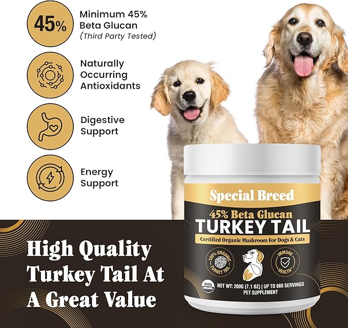 Organic Turkey Tail Mushroom for Dogs & Cats - Hot Water Extracted 45% Beta-Glucan USDA Mushroom Powder for Immune Support, Gut Health, Holistic Defense - No Fillers, Made in The USA - 660 Scoops