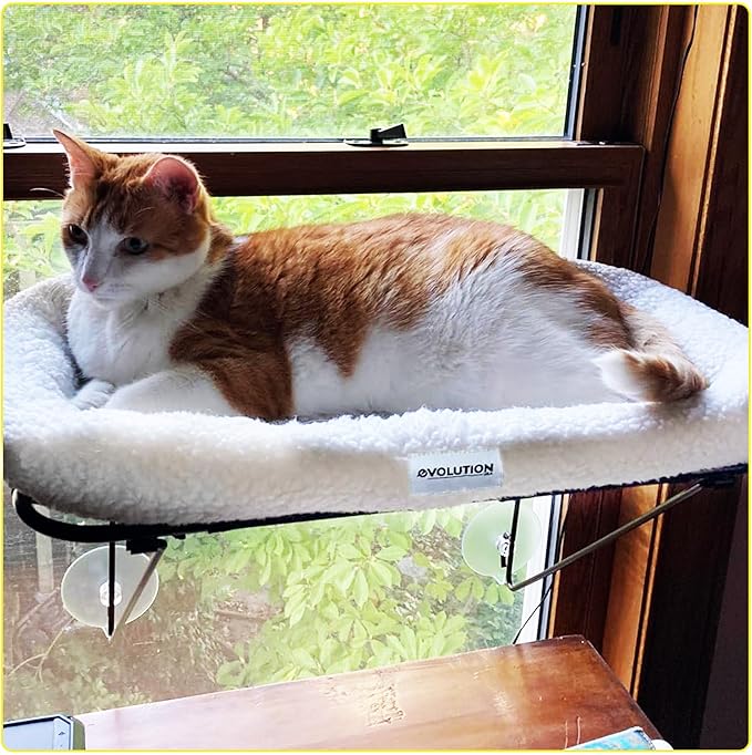 EvolutionUSA Cat Window Perch, Durable Feline Window Bed, Comfy Perch for 360 Views, Durable Elevated Cat Bed Lounger, Ideal Cat Window Hammock for Large Cats, Heavy Duty Window Bed, 24.4x12.6 in
