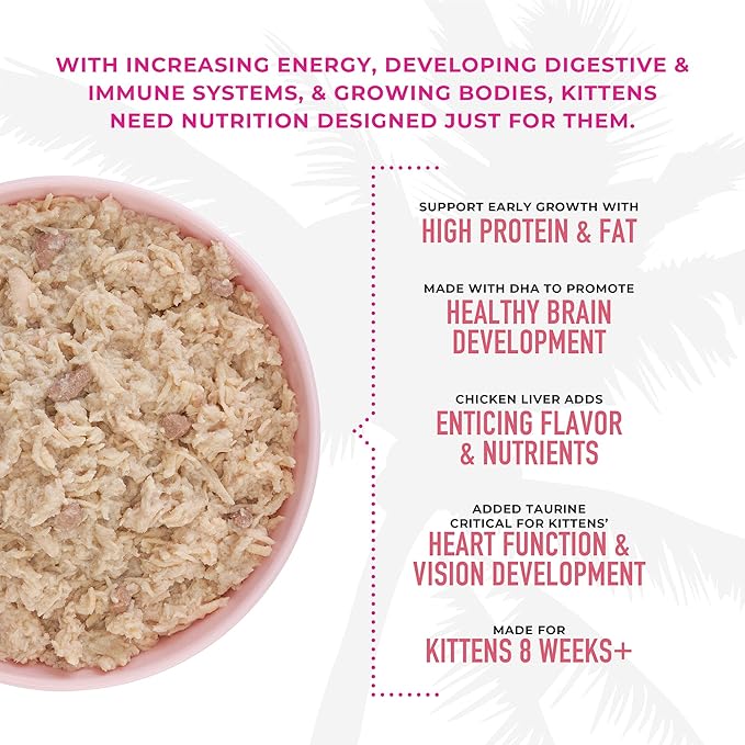 Tiki Cat Baby, Chicken & Salmon, High-Protein and 100% Non-GMO Ingredients, Wet Cat Food for Kittens 8 Weeks+, 2.4 oz. Can (12 Count)