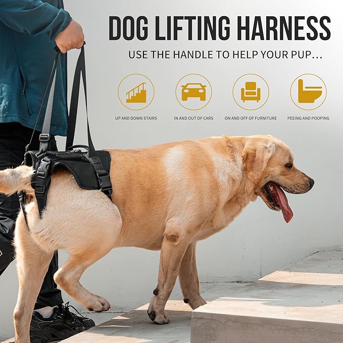 OneTigris Victus Support Harness,Lightweight & Simple Mobility Assistance Vest with Grab Handle | Pet Lifting Rehabilitation Gear | Rear Leg Support Straps