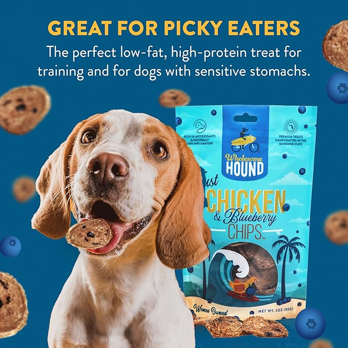 Just Chicken & Blueberry Chips | Two Premium Ingredient & Healthy Dog Treats Rich in Antioxidants | All Natural Canine Rewards | All Breed Sizes Dog Training Treats | Made in USA - 3oz