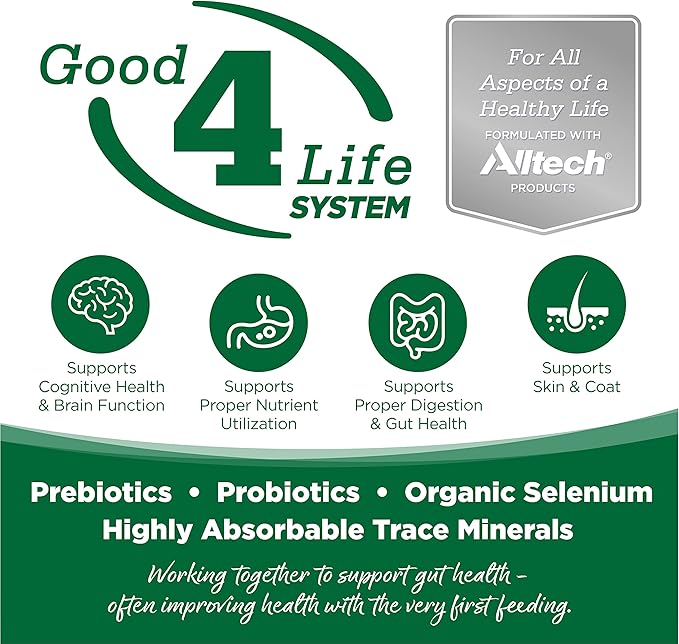 NutriSource Dog Food, Made with Turkey & Rice, with Wholesome Grains, 30LB, Dry Dog Food