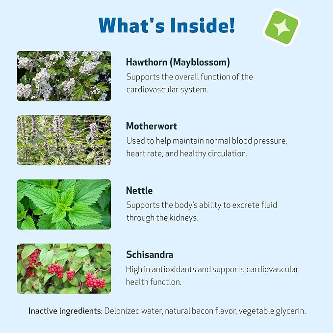 Pet Wellbeing Young at Heart for Cats - Vet-Formulated - Heart Health, Circulatory & Cardiovascular System, Hawthorn, Motherwort, Schisandra - Herbal Supplement 2 oz (59 ml)