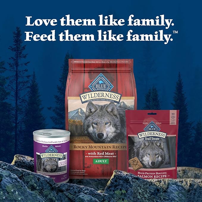 Blue Buffalo Wilderness Trail Treats High Protein Grain Free Crunchy Dog Treats Biscuits, Salmon Recipe 10-oz Bag