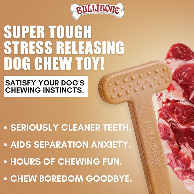 Bullibone Nylon Dog Chew Toy Nylon Bone - Improves Dental Hygiene, Easy to Grip Bottom, and Permeated with Flavor (Beef, XL - 2 Pack)