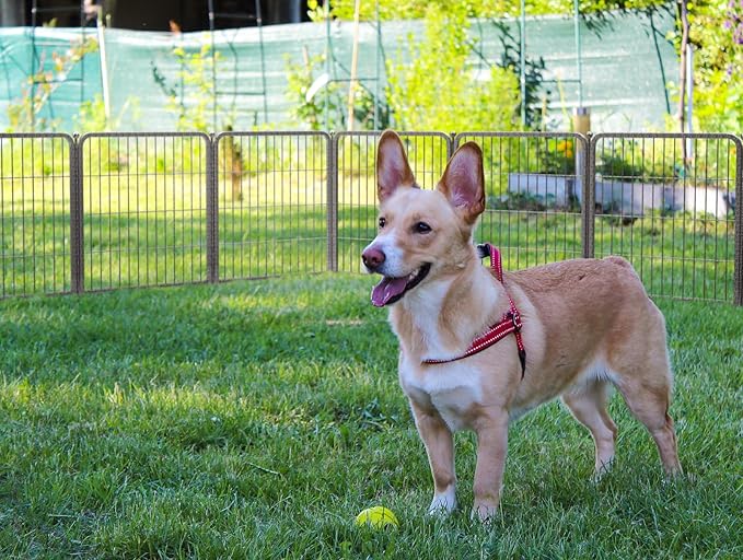 FXW Aster Dog Playpen Designed for Yard, 24inch 24 Panels