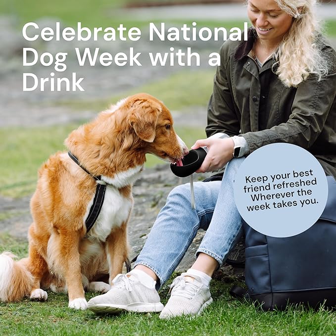 MalsiPree Dog Water Bottle - 19 Oz, Black, BPA-Free Stainless Steel - Portable & Lightweight Water Dispenser with Bowl for Dogs - Leak-Proof & No-Waste Design for Travel