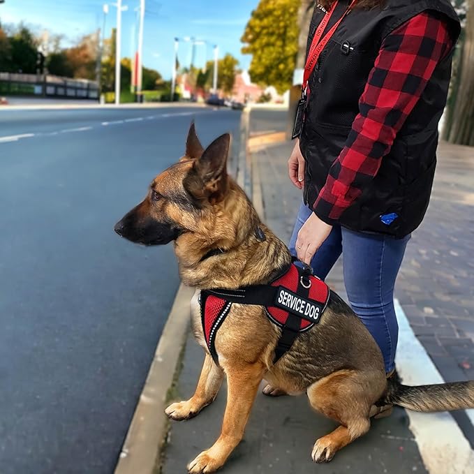 ActiveDogs Full Service Dog Kit -Service Dog Vest Harness with Handle, ID Holder, Medical Alert Keychain, Leash & Patches - Large Size, Red