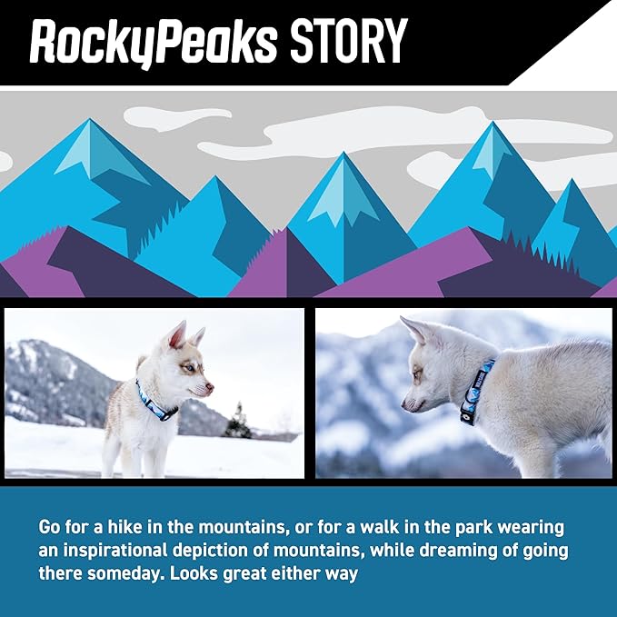 Wolfgang Heavy Duty Martingale Dog Collar with Quick Release Nylon Buckle for Walking & Training, RockyPeaks Print, Small