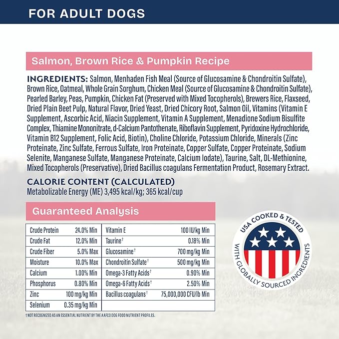 Natural Balance Health Protection Dry Dog Food – Whole Body Health, Easy on Digestion Dog Food Made with Salmon, Brown Rice & Pumpkin for Dogs - 4lbs.
