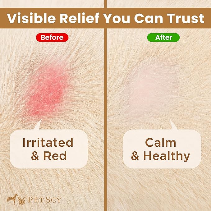 Petscy Travel Keto Skin Wipes - Antiseptic Dog Wipes for Paws, Ears, Facial Folds, Underarms & Other Sensitive Areas for Dogs & Cats – Aloe-Infused, Non-Greasy Formula - 50 Wipes