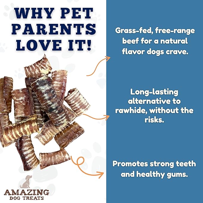 Amazing Dog Treats - 6 Inch Beef Trachea Dog Chews (5 pcs - 8 oz) - Trachea Dog Treats - NO Hide - Digestible and Safe Chews for Dogs - Glucosamine and Chondroitin for Dogs Joint Health
