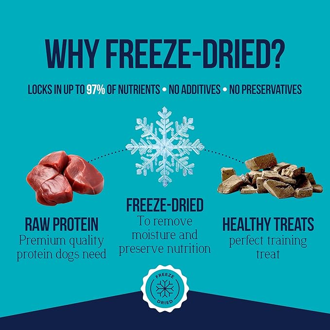 Stewart Single Ingredient Freeze Dried Raw Dog Treats, Beef Liver, 14 Ounce, Approx. 315 Pieces per Resealable Tub, Training Treats or Meal Topper, High Protein, Grain Free, Gluten Free