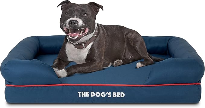 The Dog’s Bed, Medium Blue/Red 30x23.5, Memory Foam, Pain Relief: Arthritis, Hip & Elbow Dysplasia, Post Surgery, Lameness, Supportive, Calming, Waterproof Washable Cover, Veterinary Approved