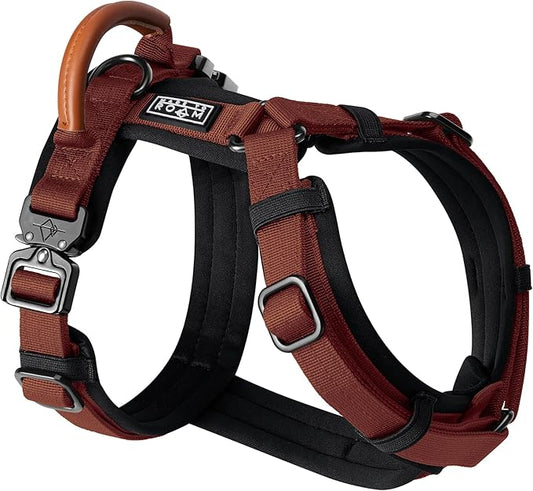 MADE TO ROAM Premium Explorer Harness - Y-Shaped Dog Harness with Adjustable Durable Nylon, Soft Padding, Metal Buckles and Leather Handle for Small, Medium, Large Dogs (Arizona Heartbeat, Size 1)