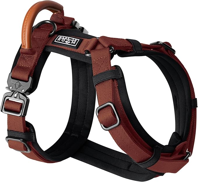 MADE TO ROAM Premium Explorer Harness - Y-Shaped Dog Harness with Adjustable Durable Nylon, Soft Padding, Metal Buckles and Leather Handle for Small, Medium, Large Dogs (Arizona Heartbeat, Size 4)