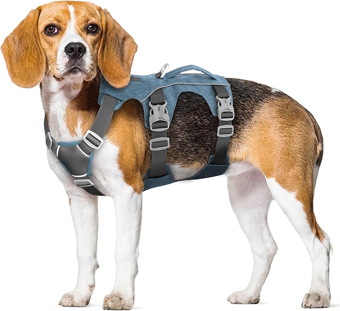 Escape Proof Dog Harness with Handle - Reflective No Pull Dog Vest, Lightweight Full Body Pet Harness Adjustable for Small Dogs Walking,Training(Blue,Chest:14-22")