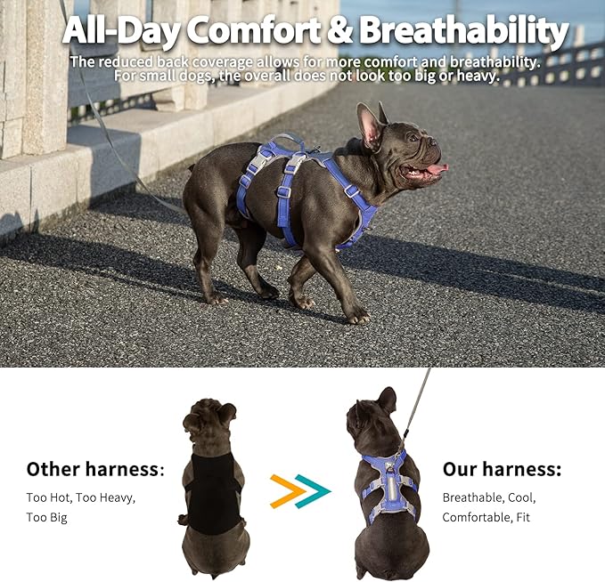 Huntboo Escape Proof Harness for Dogs, No Escape Dog Harness, No Pull Dog Harness for Small Dogs with Handle, Reflective, Breathable,Durable, Adjustable Vest for Walking,and Running Gear(Vista Blue,S)