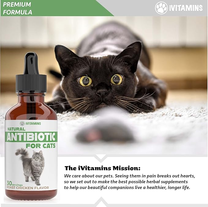 Cat Antibiotic for Infections, UTIs, Respiratory Moments, Cold, & Allergies | Antibiotics for Cats of All Ages & Breeds | Chicken Flavor | 1 fl oz | (1)