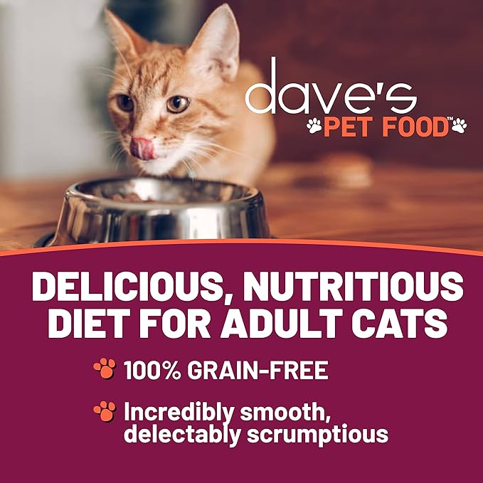 Dave's Pet Food Grain Free Wet Cat Food (Shredded Chicken & Duck in Gravy), Naturally Healthy Canned, Added Vitamins & Minerals, Wheat, Gluten, & GMO-Free, 2.8 oz (24 Pack)