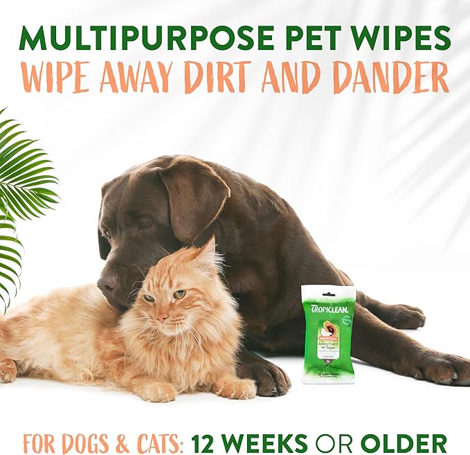 TropiClean Dog Wipes for Paws, Butt, Face, and Body, Anytime Cleaning and Deodorizing Pet Wipes, Safe for Licking, Papaya Scent, Cat Safe, 20ct