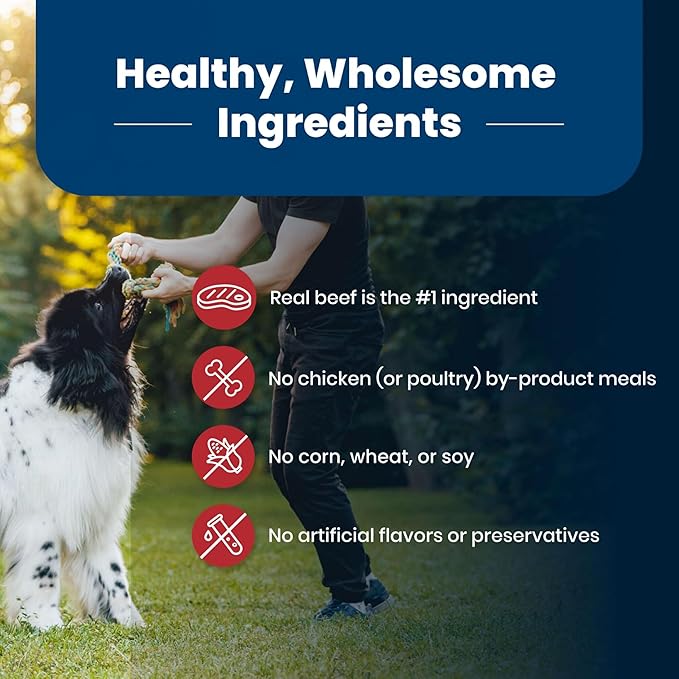 Blue Buffalo Life Protection Formula Adult Dry Dog Food, Helps Build and Maintain Strong Muscles, Made with Natural Ingredients, Beef & Brown Rice Recipe, 34-lb. Bag