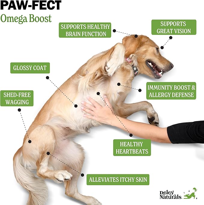 Deley Naturals Dog Fish Oil Icelandic 2X Omega - Dog Itching Skin Relief with Omega 3 6 9 for Allergies, Coat & Heart - Omega 3 Fish Oil for Dogs Skin Irritation - 16oz Omega Oil for Dogs Made in USA