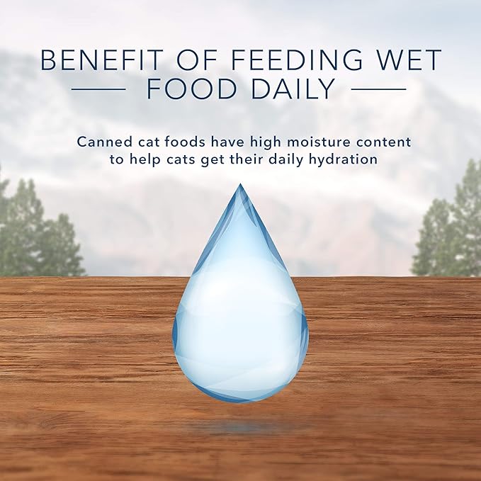 Blue Buffalo Wilderness High Protein Grain Free, Natural Kitten Pate Wet Cat Food, Chicken & Salmon 3-oz cans (48 Count - 24 of Each Flavor)