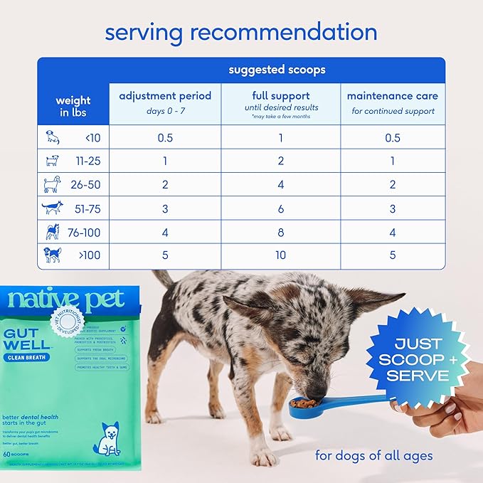 Native Pet GutWell Clean Breath - Dog Breath Freshener & Dog Dental Powder - Teeth Cleaning to Reduce Plaque & Tartar - Promotes Fresh Breath with Targeted Triple-biotic Dental Care Blend - 60 Scoops