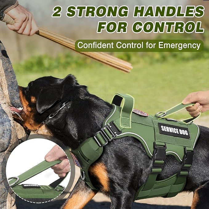 Tactical Service Dog Vest Harness and Leash Set,Heavy Duty Dog Harness with Metal Buckles for Medium Sized Dogs,Adjustable No Pull Pet Vest with Patches for Training Working Hiking,Green M
