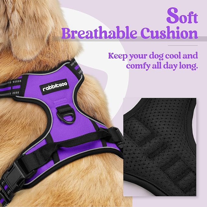 rabbitgoo Dog Harness No Pull with 2 Leash Clips, Adjustable Soft Padded, Reflective Oxford No Choke Pet Vest with Easy Control Handle for Small Dogs, Purple, S