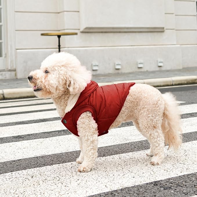 Fleece Lining Extra Warm Dog Hoodie in Winter,Small Dog Jacket Puppy Coats with Hooded,Red XS
