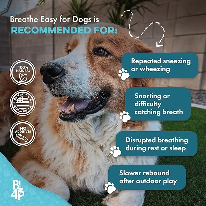Breathe Easy Natural Cough Relief for Dogs - Gentle Senior Dog Respiratory, Congestion and Sneezing Relief Plus Trachea and Airway Support for Brachycephalic Dogs Ensures Calm Walks & Restful Sleep