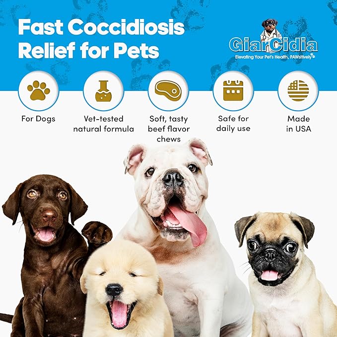 Allergy Relief & Immune Support Chews for Dogs – 90 Soft Chews, Chicken Flavor – Seasonal Itch, Skin, Paw Licking, Hot Spots – Dog Allergy Supplement