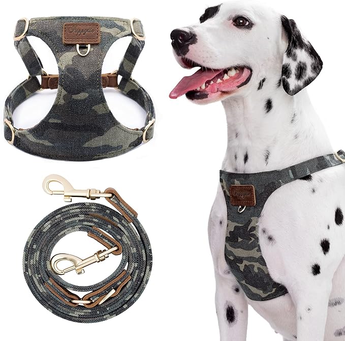 Dog Harness, No Pull Dogs Harness and Multi-Function Leash Set for Medium Dogs Easy Walk Everyday Adjustable Soft Dog Vest Harness Fashionable Dog Accessories Camouflage Green-M(16lb-35lb)