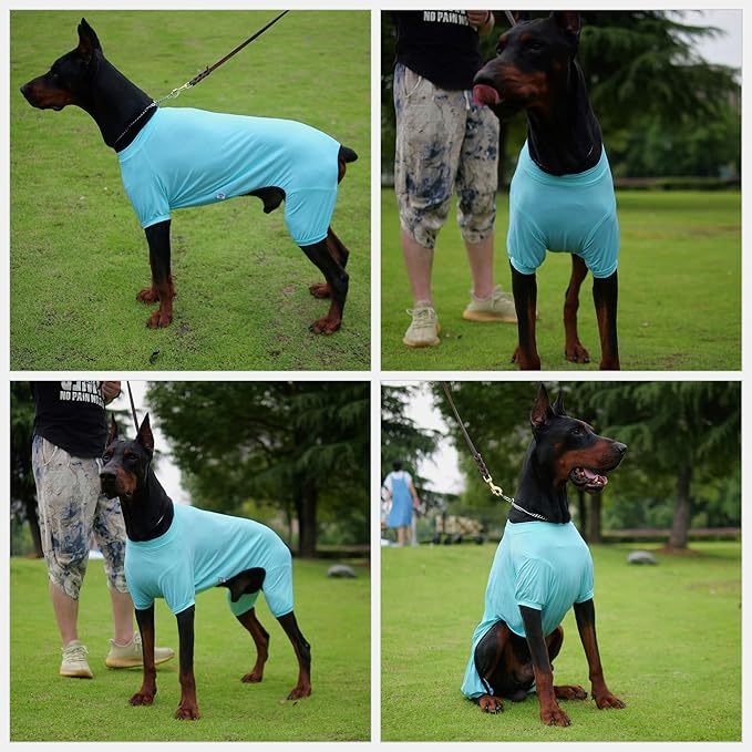 LoveLongLong Dog Jumpsuit with UV Protection and Quick-Dry Fabric for Spring Summer Pet Pajamas Turquoise XL