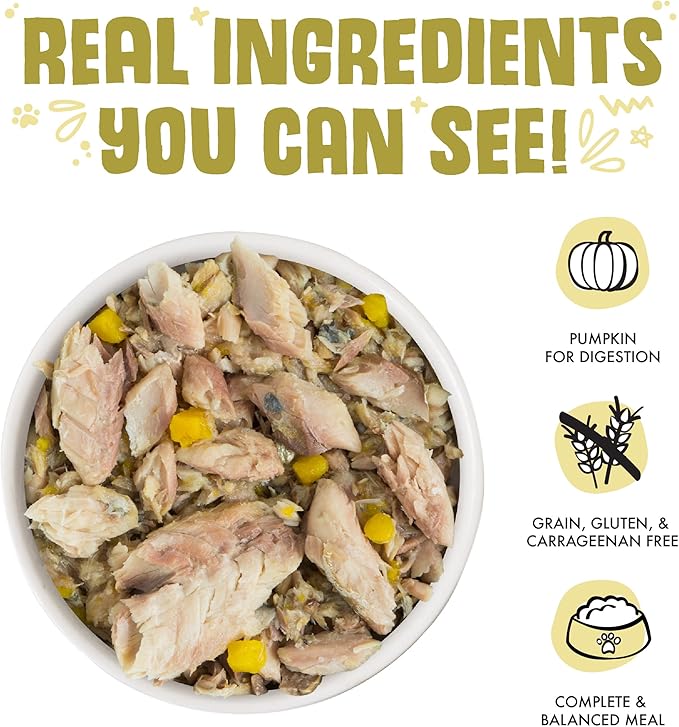 Weruva Classic Cat Food, Meow Luau with Mackerel & Pumpkin in Gravy, 3oz Can (Pack of 24)