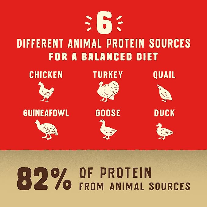 Stella & Chewy's Wild Red Dry Dog Food Raw Coated High Protein Wholesome Grains Puppy Prairie Recipe, 3.5 lb. Bag