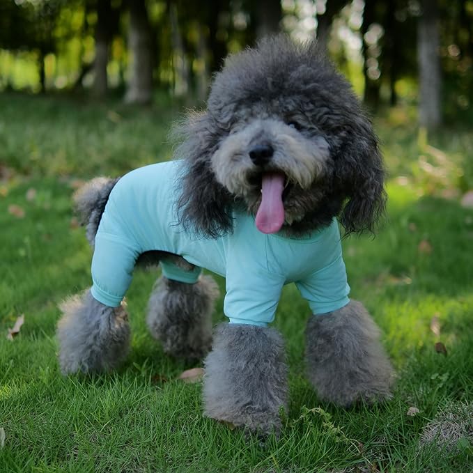 LoveLongLong Dog Jumpsuit with UV Protection and Quick-Dry Fabric for Spring Summer Pet Pajamas Turquoise 3XL