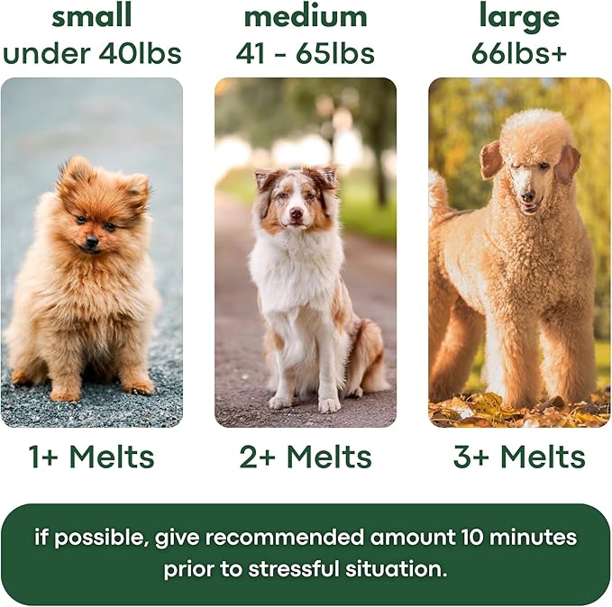 Calming Strips for Dogs 4-in-1 – 10 Strips – Relaxation Support with Chamomile, L-Theanine, Tryptophan & Melatonin for Dogs – Supports Calm During Fireworks, Storms & Travel – Pet Zen Formula