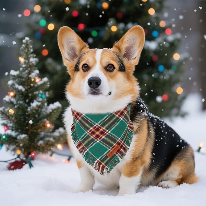 ADOGGYGO Christmas Dog Bandanas with Tassels Edges, Stylish Plaid Xmas Scarf Bib, Red Green Plaid Christmas Bandanas for Small Dogs (Small)
