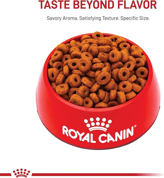 Royal Canin Size Health Nutrition Large Aging 8+ Senior Dry Dog Food, 30 lb Bag