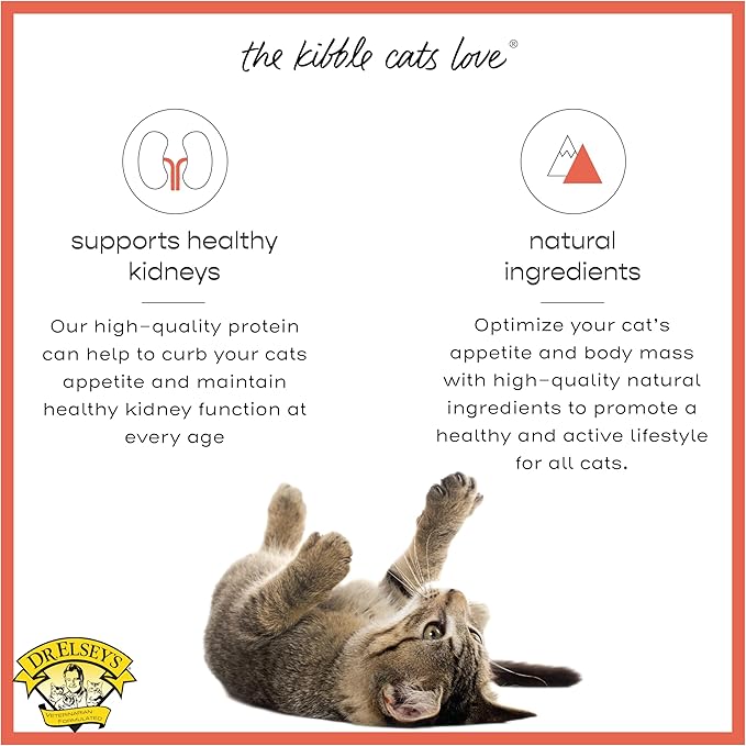 Dr. Elsey'S Cleanprotein Salmon Formula Dry Cat Food, 2 Pound (Pack of 1)