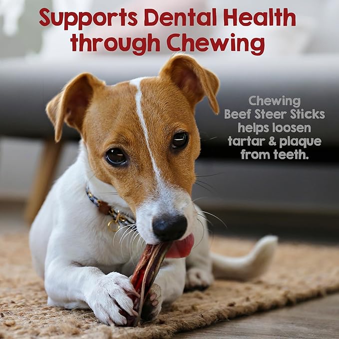 Riley's Steer Bully Sticks for Small to Medium Dogs - Single Ingredient Dog Treat, Easily Digestible, 100% Beef Pizzle Sticks - 5-6", 12ct