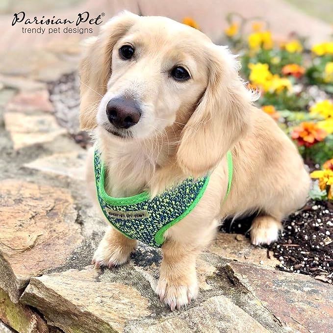 Parisian Pet Soft Padded Green/Blue Adjustable No Pull Puppy Harness - Cooling Dog Harness for Walking, Running, and Hiking - Large Size