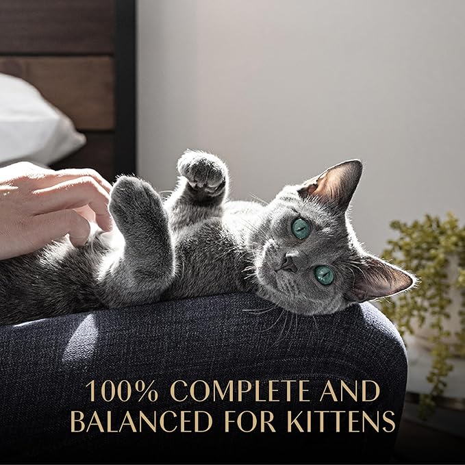 Sheba Perfect Portions Kitten Wet Cat Food Pate Chicken Entree and Salmon Entree, 2.6 oz. Twin-Pack Trays (12 Count, 24 Servings) (Pack of 2)