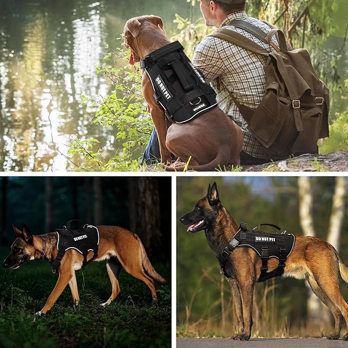 WINSEE Mesh Dog Harness with 10 Pet Patches for Small Service Dog in Training, Breathable Tactical Molle Vest with Double Handle, Reflective Military Pet Vest for Walking Hiking