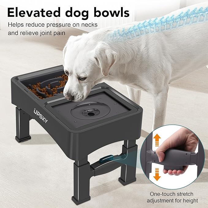 UPSKY 2-in-1 Elevated Dog Bowls Slow Feeder, 4 Height Adjustable Raised Bowls Stand, No Spill Dog Water Bowls, Anti-Slip Food and Water Bowl for Small Medium Dogs(Not Include Stainless Steel Bowl)