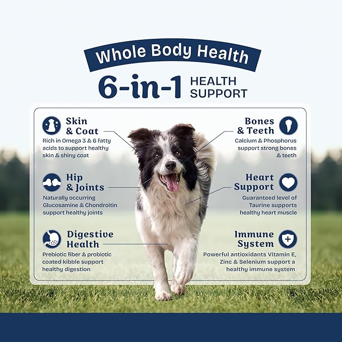 Natural Balance Health Protection Dry Dog Food – Whole Body Health, Easy on Digestion Dog Food Made with Chicken, Brown Rice & Pumpkin for Dogs - 4lbs.