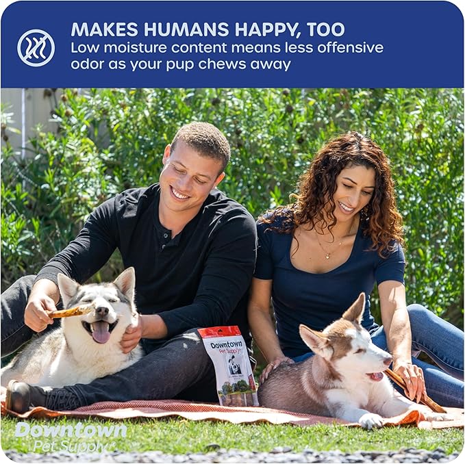 Downtown Pet Supply USA-Made 12", 1 Lb. Jumbo Bully Sticks for Large Dogs - Rawhide Free Dog Chews Long Lasting and Non-Splintering - Single Ingredient, Low Odor Bully Sticks for Medium Dogs